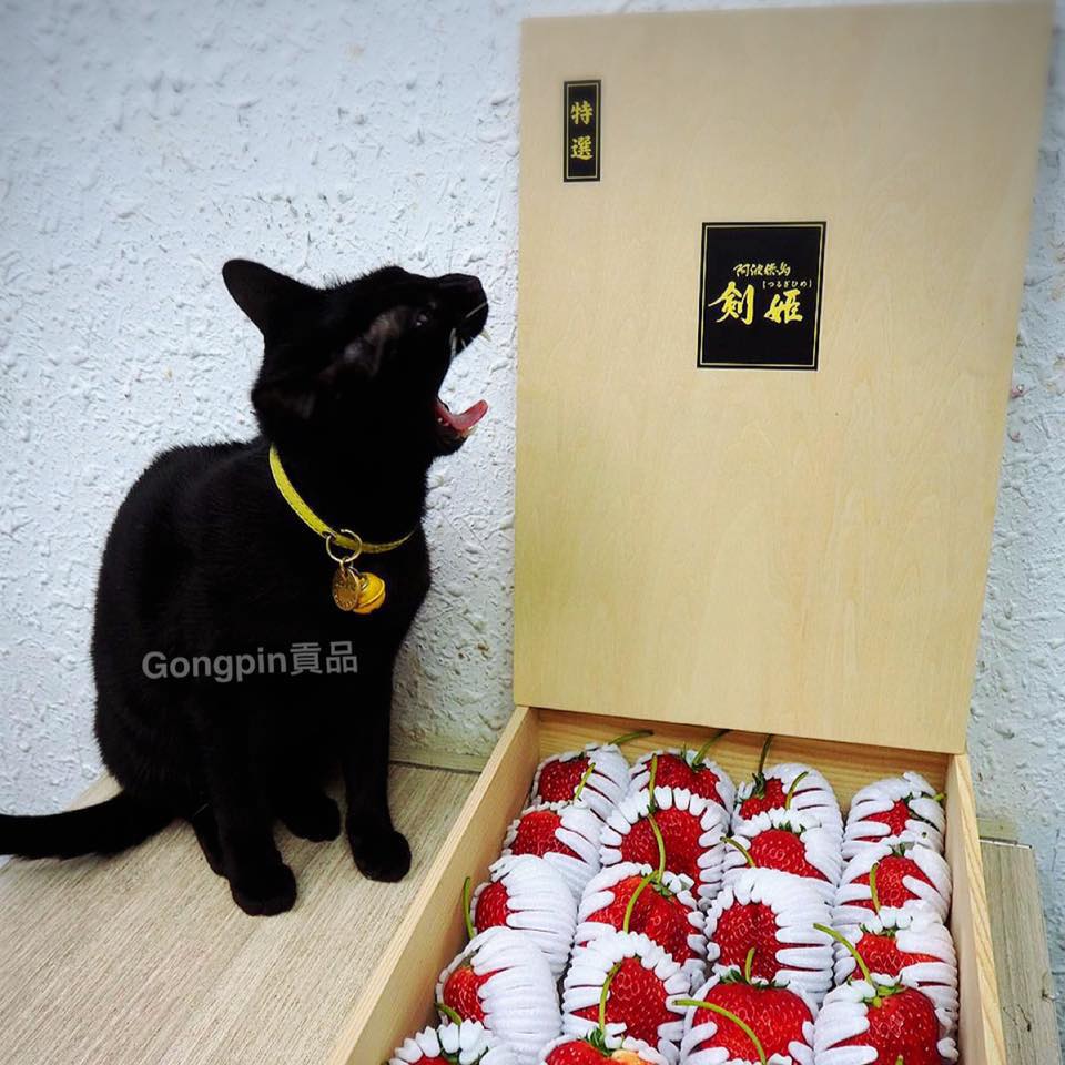 貢品高級水果禮品坊