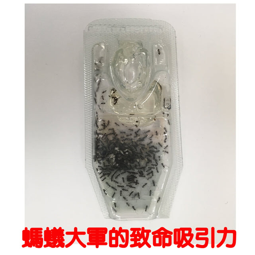 台灣ECOGEL除螞蟻盒/凝膠