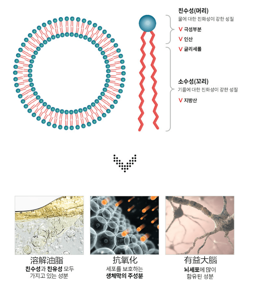 韓國HS排脂丸
