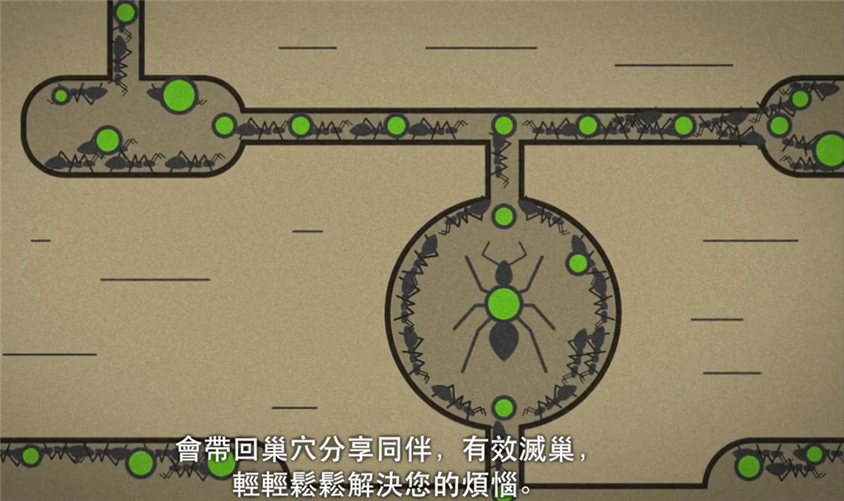 台灣ECOGEL除螞蟻盒/凝膠
