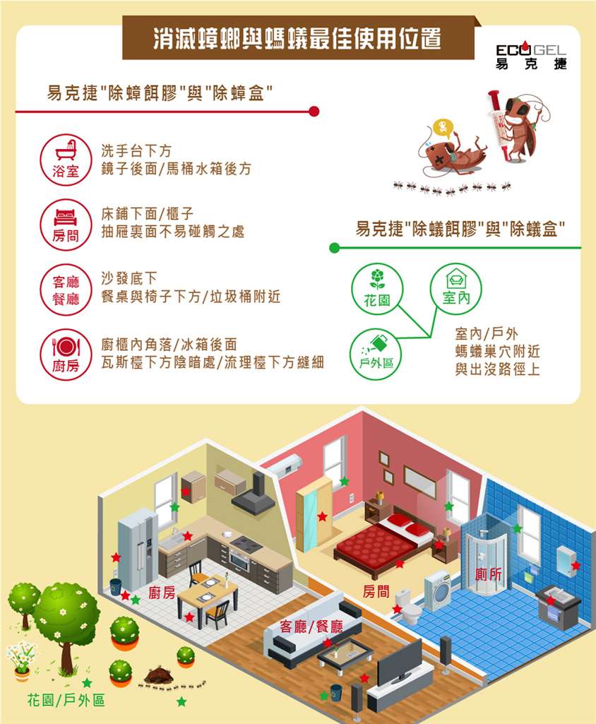 台灣ECOGEL除螞蟻盒/凝膠