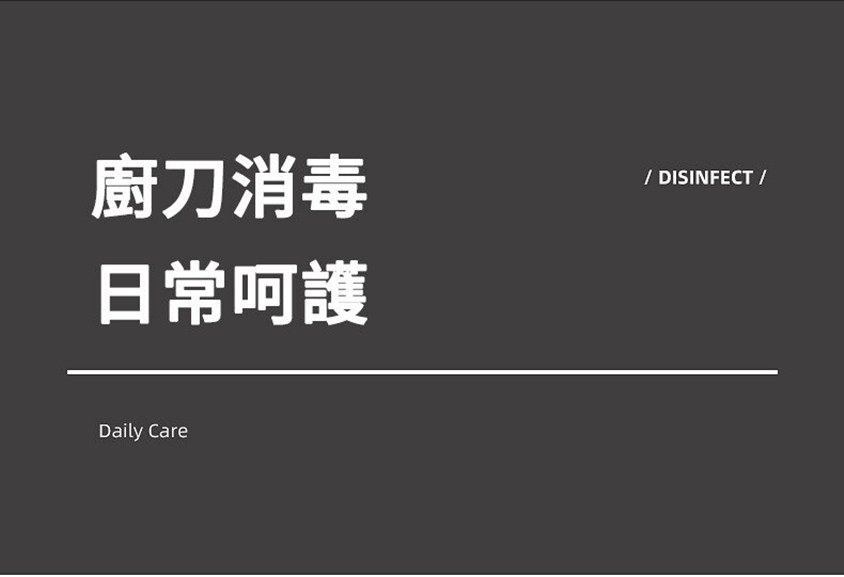 德國Blaupunkt智能刀筷砧板消毒烘乾機